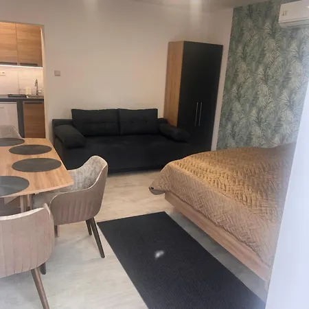 Apartment Bujdoso House